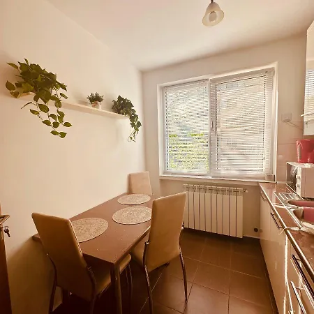Sweet Apartament Baia Mare Exterior foto