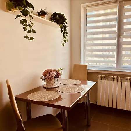 Sweet Apartament Baia Mare Exterior foto